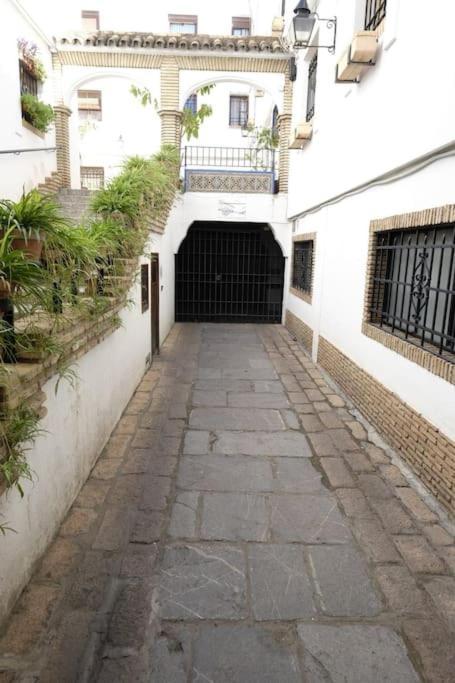 Medina Paradise قرطبة المظهر الخارجي الصورة